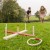 Ring Toss Rope Quoits