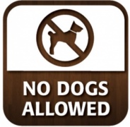 No Dogs Allowed Window Sticker