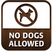 No Dogs Allowed Window Sticker
